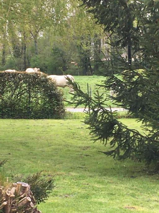 Cottage De Charme A La Campagne Aulnoy Buitenkant foto